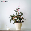 Suport de plante din plastic roz 39 cm set de 2 buc.