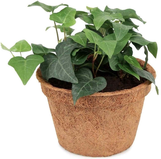 Hiveci de flori din fibre naturale de nucă de cocos fi 18 cm